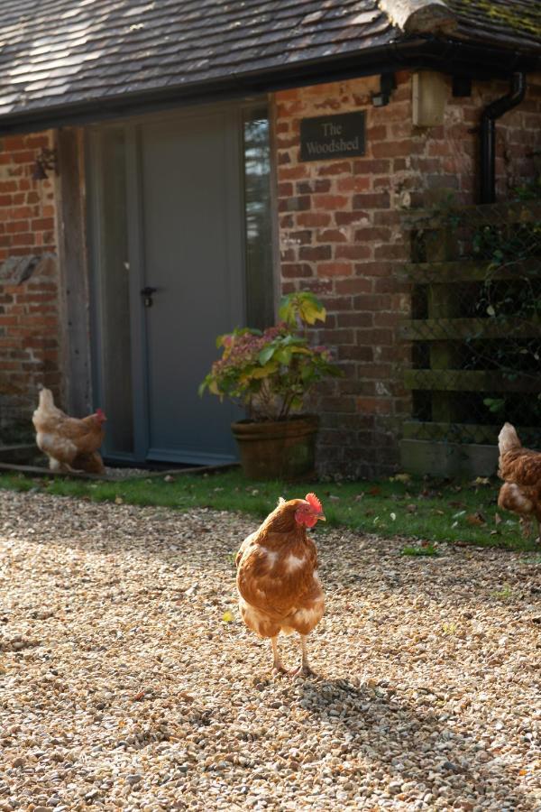 Street Farmhouse Godshill  外观 照片